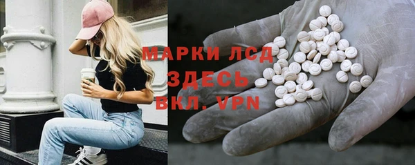 СК Волоколамск