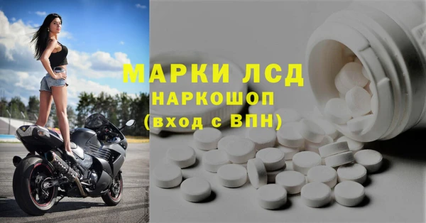 СК Волоколамск