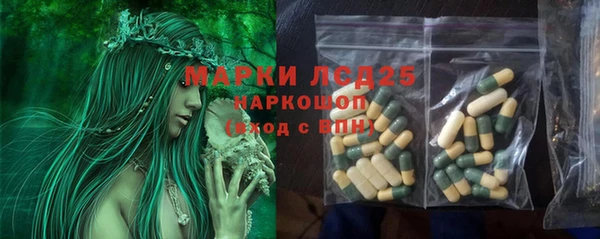 СК Волоколамск