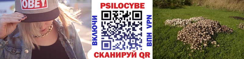 Псилоцибиновые грибы Psilocybine cubensis  shop клад  Карабаново 